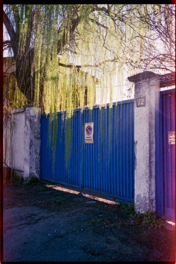 Walkabout | Il tempo del sogno - Image 10