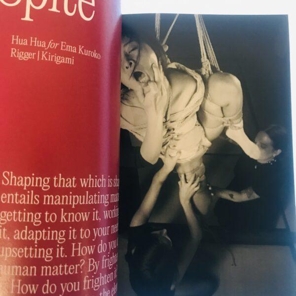 Yugen SM Issue #3 King Koala exclusive - Image 8