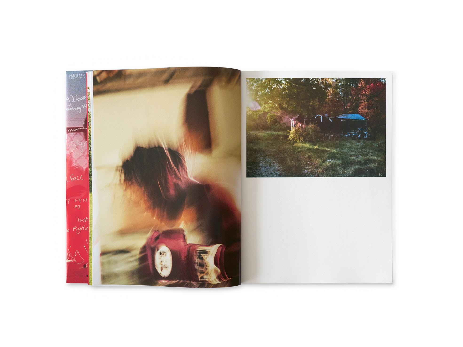 American Beef - Image 10
