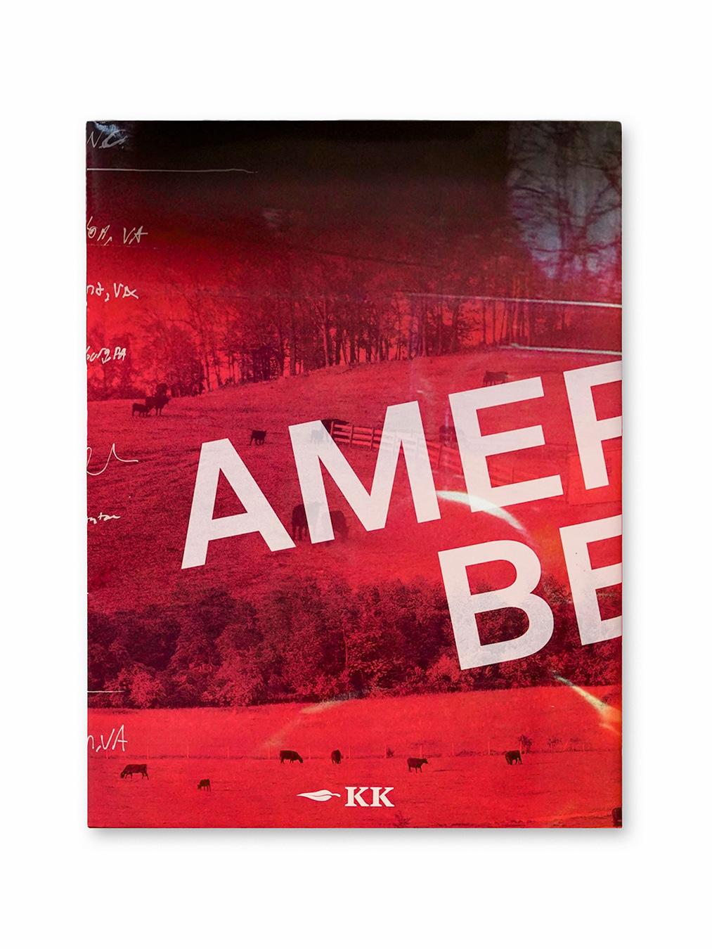American Beef - Image 6