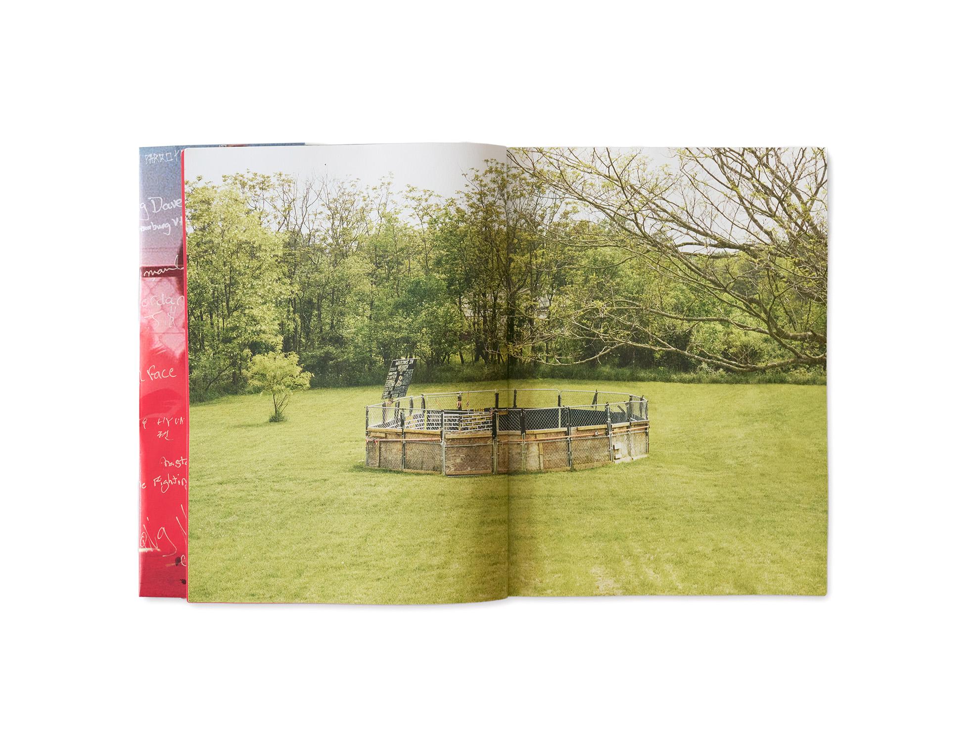 American Beef - Image 16
